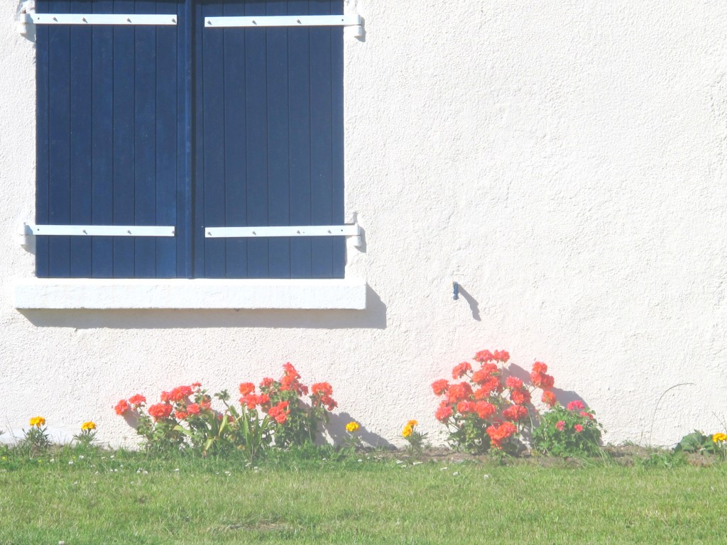 La Bretagne, ma deuxième patrie