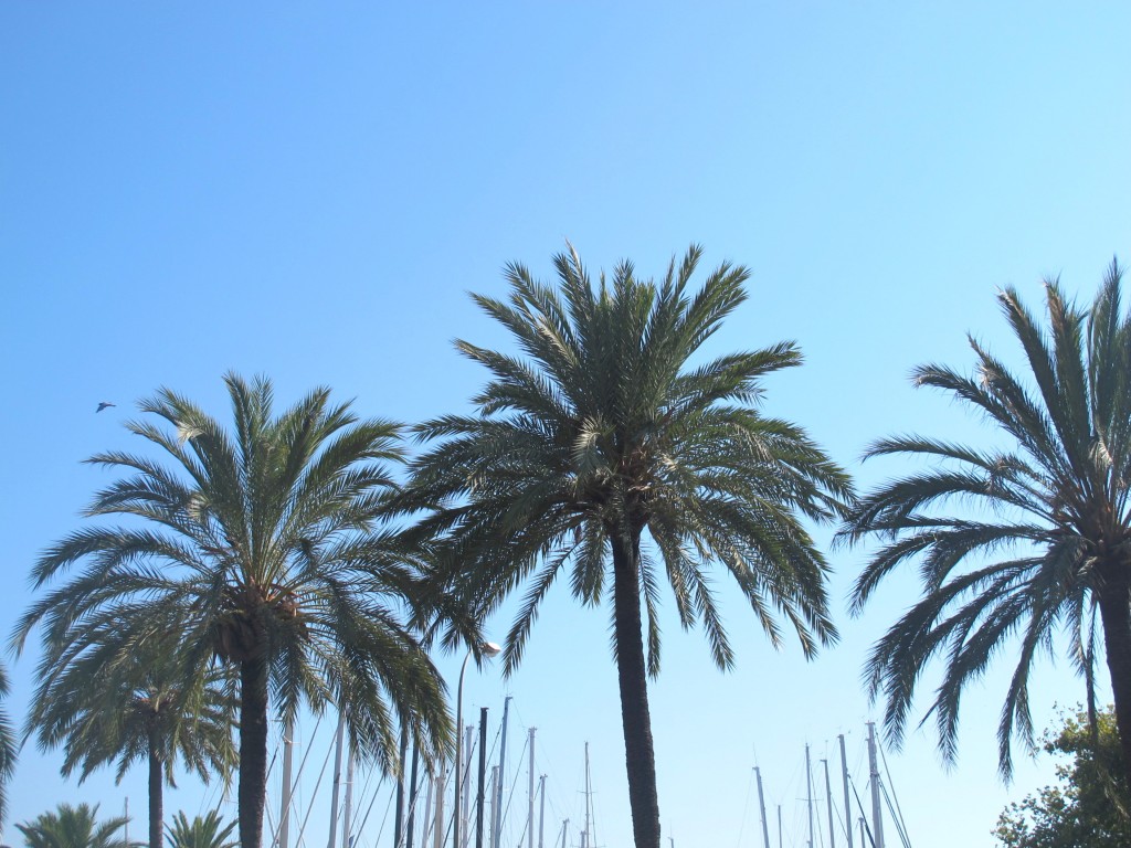 Un paseo por Palma de Mallorca