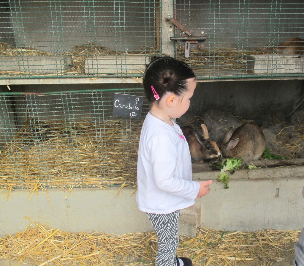 Ferme de La Ranjonnière, apprendre espagnol, Nantes