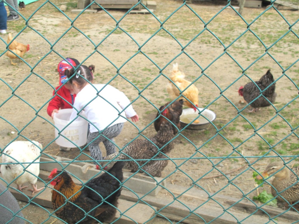 Ferme de La Ranjonnière, apprendre espagnol, Nantes