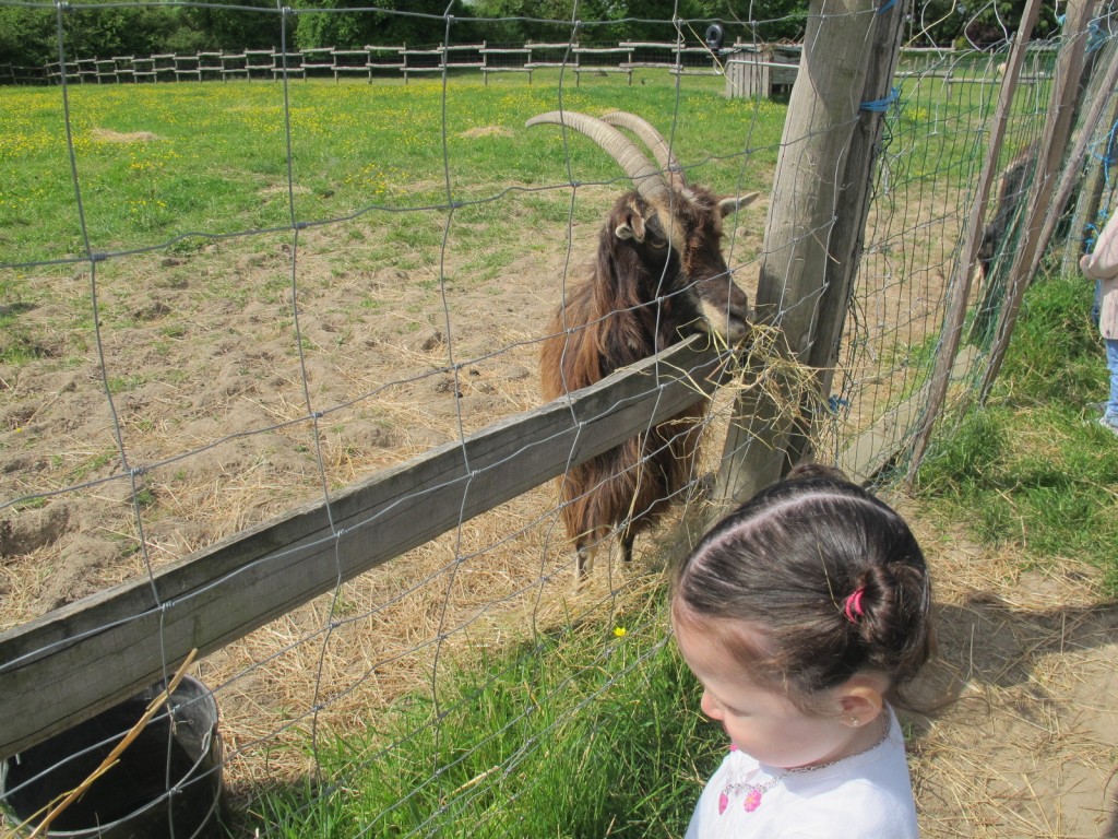 Ferme de La Ranjonnière, apprendre espagnol, Nantes