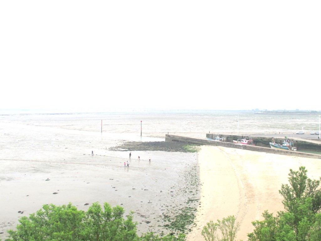 Viaje a la isla de Oleron, Francia